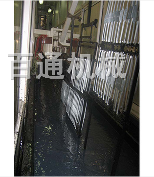 電泳線1