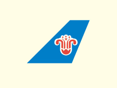 中國南方航空股份有限公司